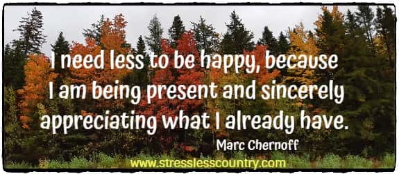 	I need less to be happy, because I am being present and sincerely appreciating what I already have.