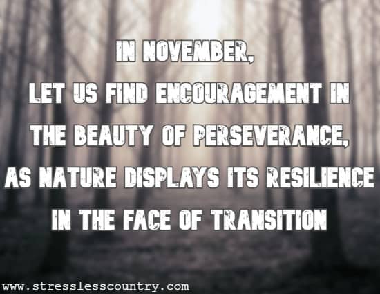 In November, let us find encouragement in the beauty of perseverance, as nature displays its resilience in the face of transition