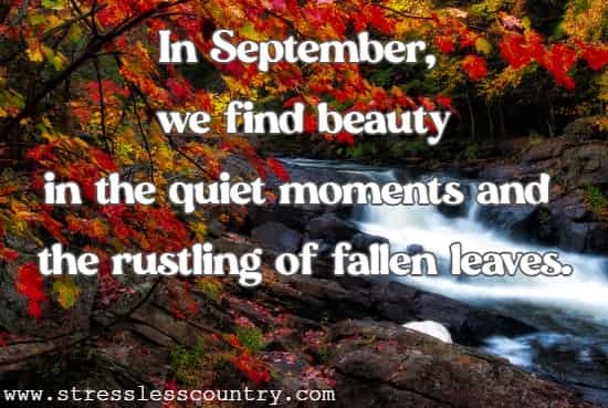 In September, we find beauty in the quiet moments and the rustling of fallen leaves.
