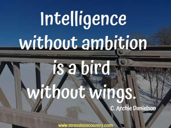 Intelligence without ambition is a bird without wings.