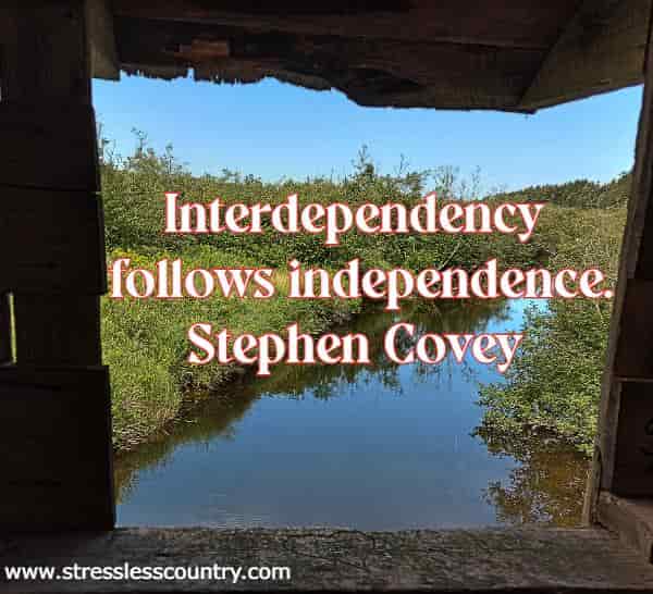 Interdependency follows independence.