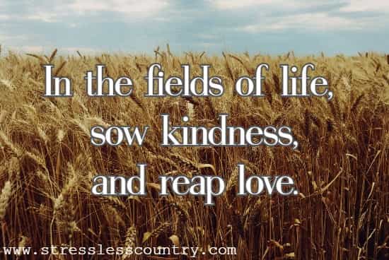 In the fields of life, sow kindness, and reap love.