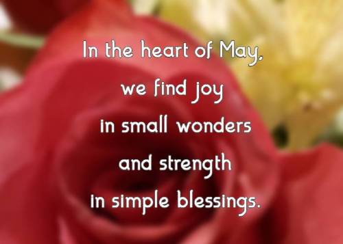 In the heart of May, we find joy in small wonders and strength in simple blessings.