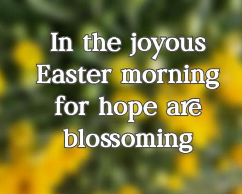 In the joyous Easter morning for hope are blossoming