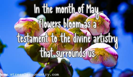 In the month of May, flowers bloom as a testament to the divine artistry that surrounds us.