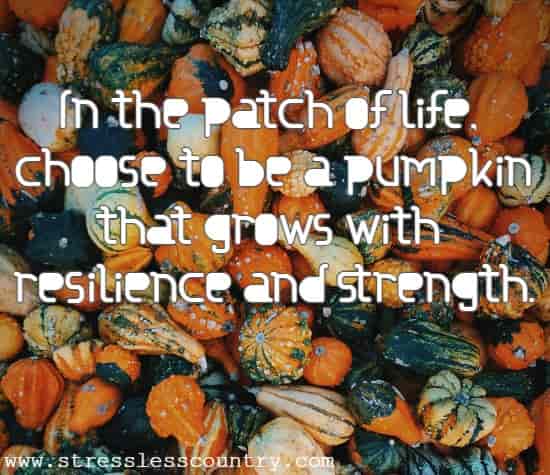 In the patch of life, choose to be a pumpkin that grows with resilience and strength.
