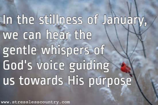   In the stillness of January, we can hear the gentle whispers of God's voice guiding us towards His purpose.
