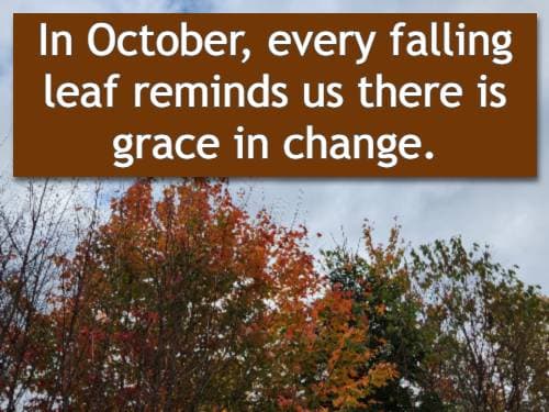 In October, every falling leaf reminds us there is grace in change.