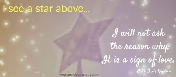 I see a star above...I will not ask the reason why; it is a sign of love. Caleb Davis Bradlee