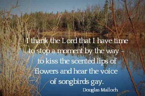 I thank the Lord that I have time to stop a moment by the way - to kiss the scented lips of flowers and hear the voice of songbirds gay.