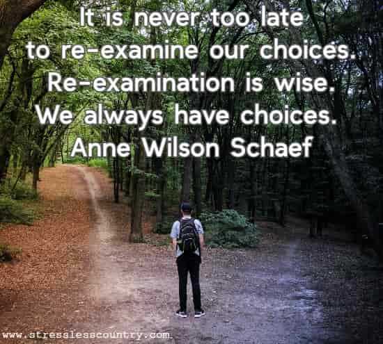 It is never too late to re-examine our choices. Re-examination is wise. We always have choices.