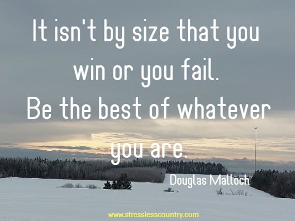 It isn't by size that you win or you fail. Be the best of whatever you are.