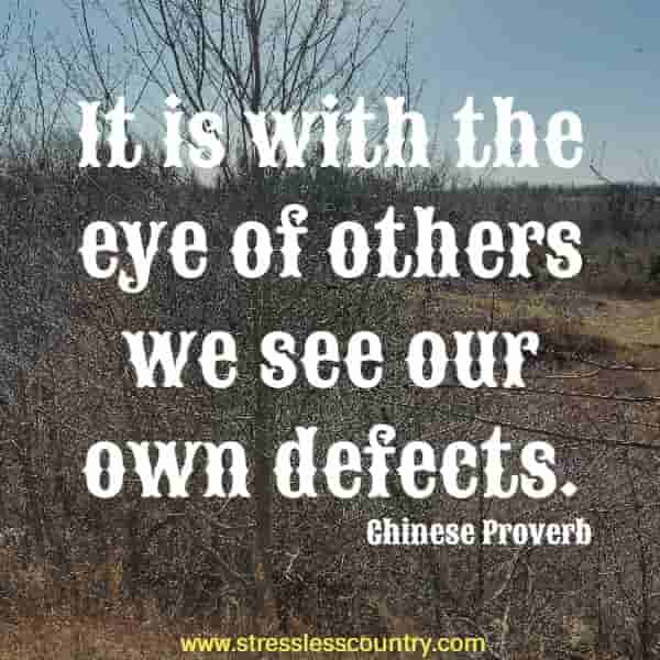It is with the eye of others we see our own defects. 