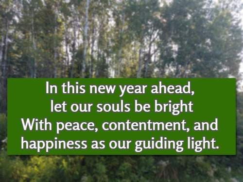 In this new year ahead, let our souls be bright With peace, contentment, and happiness as our guiding light