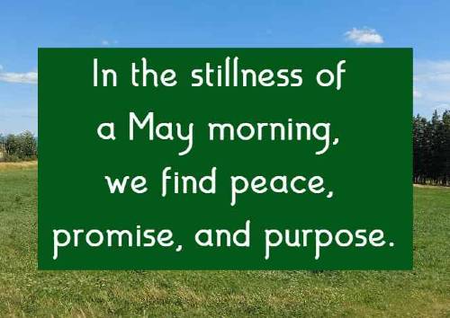 In the stillness of a May morning, we find peace, promise, and purpose.