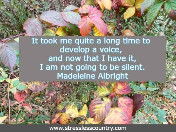 it took me quite a long time to develop a voice, and now that I have it, I am not going to be silent. Madeleine Albright