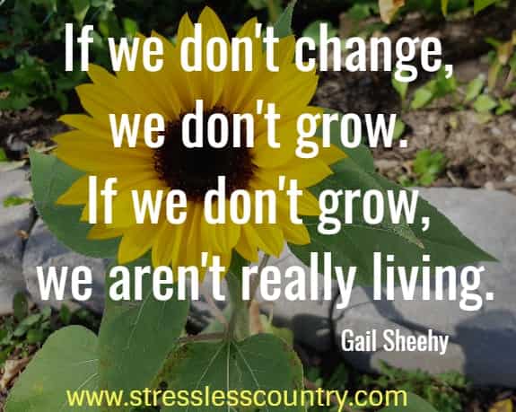 	If we don't change, we don't grow. If we don't grow, we aren't really living.