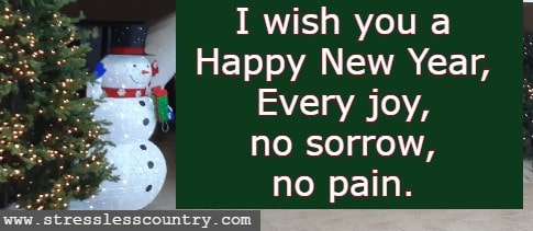 I wish you a Happy New Year, Every joy, no sorrow, no pain.