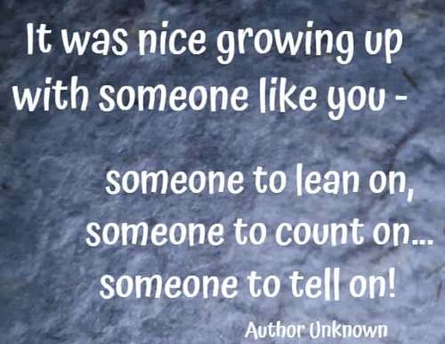 It was nice growing up with someone like you - someone to lean on, someone to count on... someone to tell on! Author Unknown
