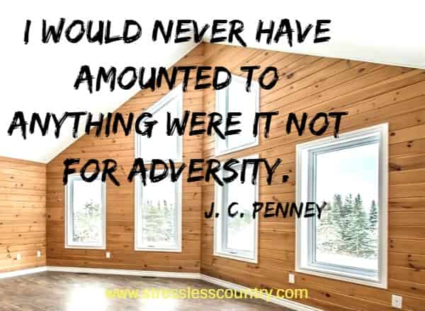 I would never have amounted to anything were it not for adversity.