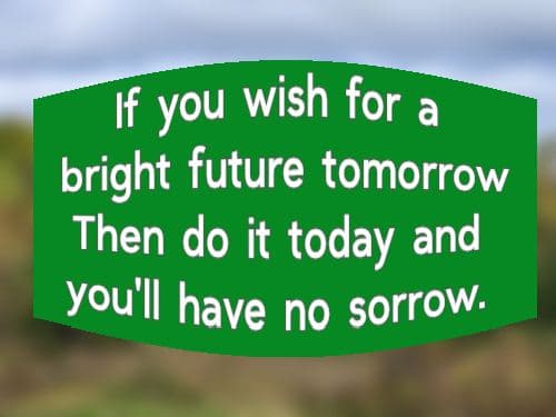 If you wish for a bright future tomorrow Then do it today and you'll have no sorrow.