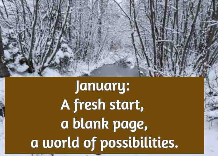 January: A fresh start, a blank page, a world of possibilities.