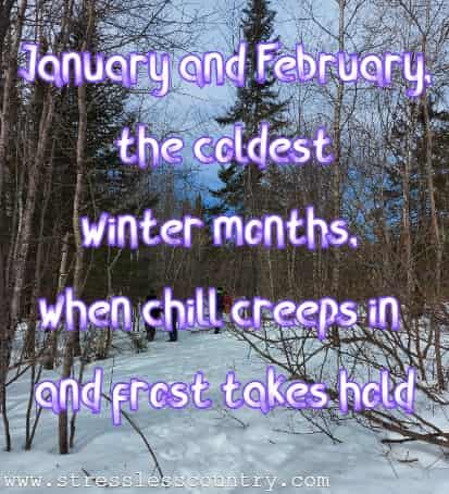 January and February, the coldest winter months, when chill creeps in and frost takes hold.