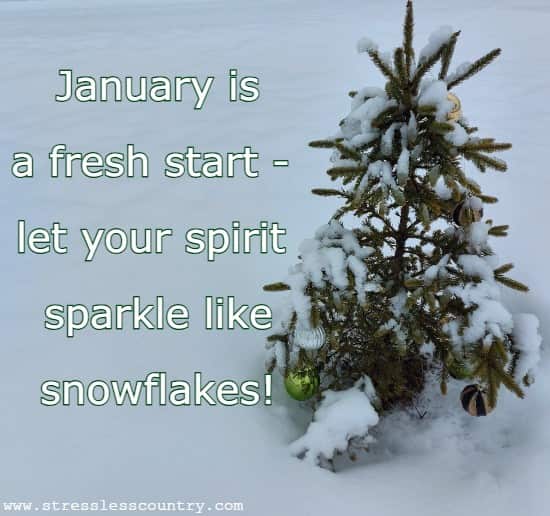 January is a fresh start - let your spirit sparkle like snowflakes!