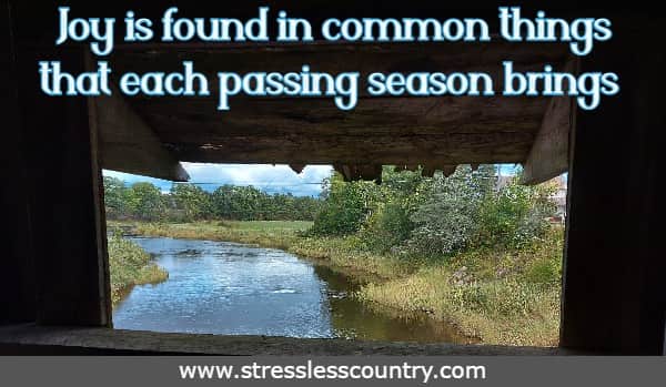 Joy is found in common things that each passing season brings
