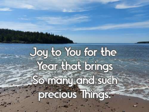 Joy to You for the Year that brings So many and such precious Things