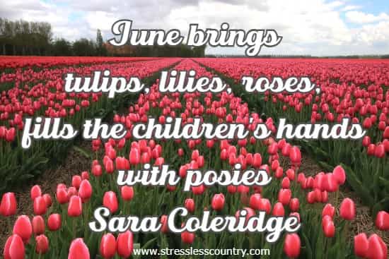 June brings tulips, lilies, roses, fills the children's hands with posies