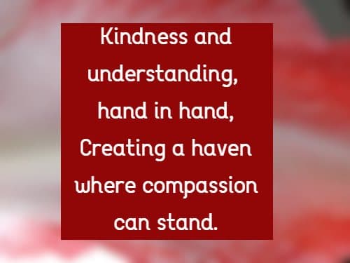 kindness and understanding, hand in hand, creating a haven where compassion can stand