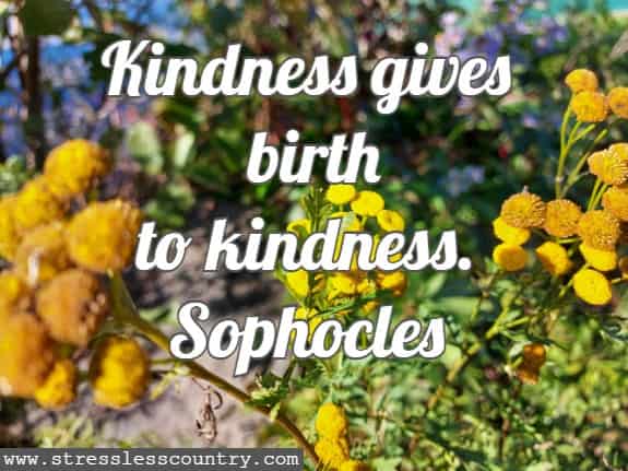 Kindness gives birth to kindness.