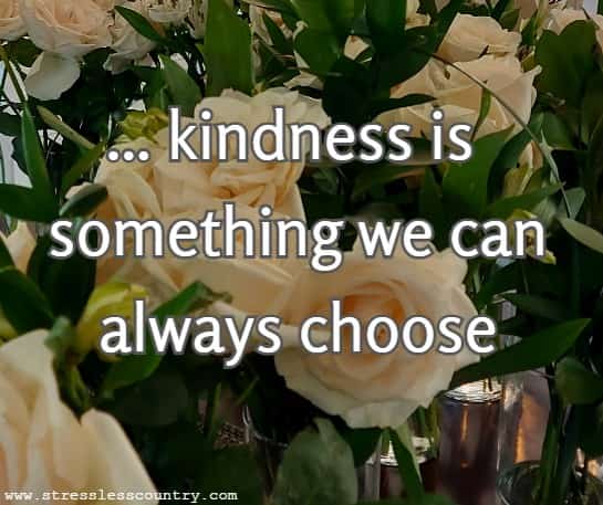 ...kindness is something we can always choose