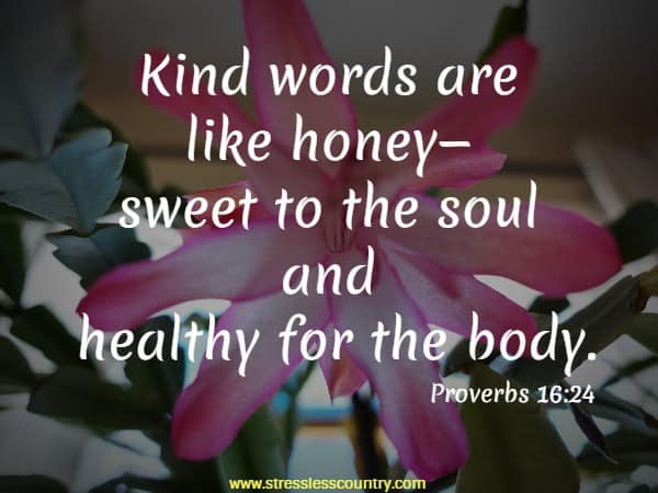Kind words are like honey - sweet to the soul and healthy for the body. Proverbs 16:24 