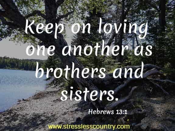 Keep on loving one another as brothers and sisters.