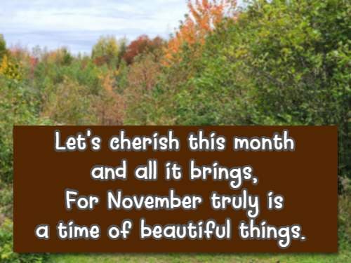 Let's cherish this month and all it brings, For November truly is a time of beautiful things