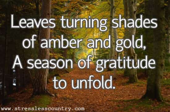Leaves turning shades of amber and gold, A season of gratitude to unfold.