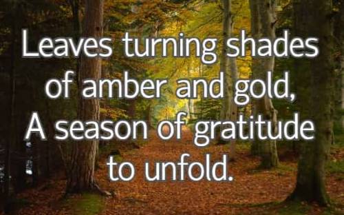 Leaves turning shades of amber and gold, A season of gratitude to unfold.