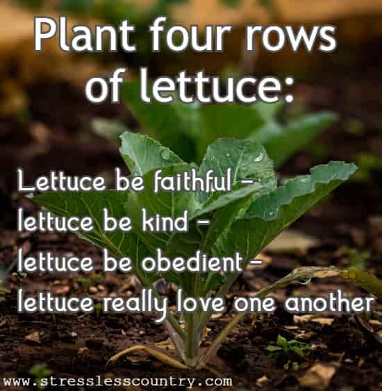 Plant four rows of lettuce: Lettuce be faithful - lettuce be kind - lettuce be obedient - lettuce really love one another