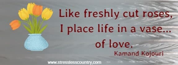 Like freshly cut roses, I place life in a vase...of love. Kamand Kojouri