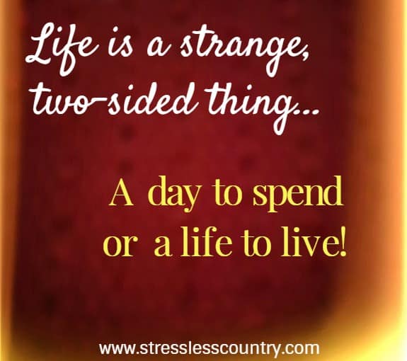 life is a strange two-sided thing... a day to spend or life to live