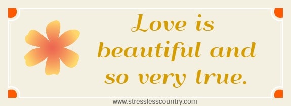 love is beautiful and so very true