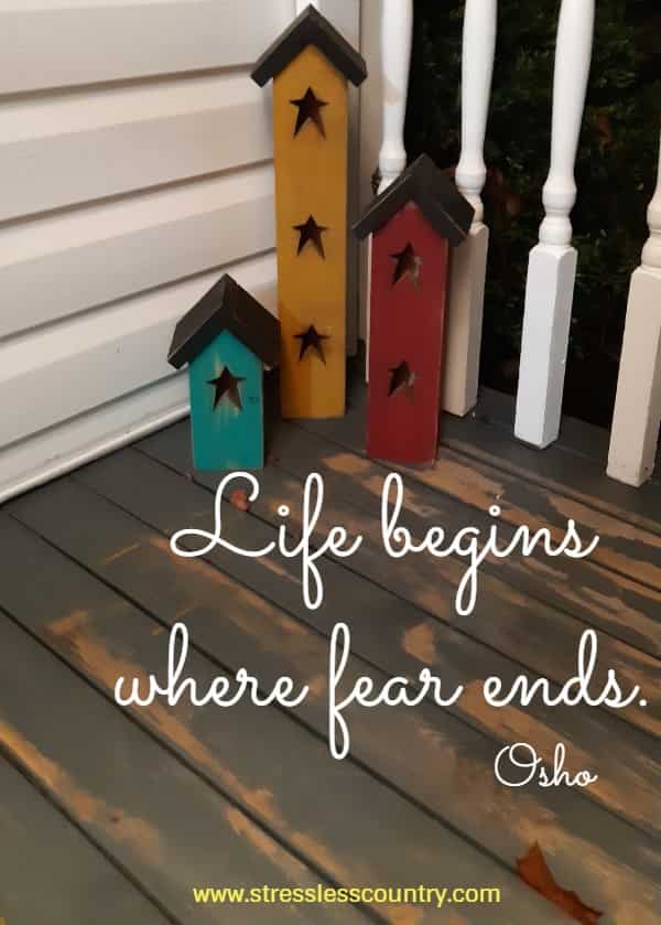 life begins where fear ends