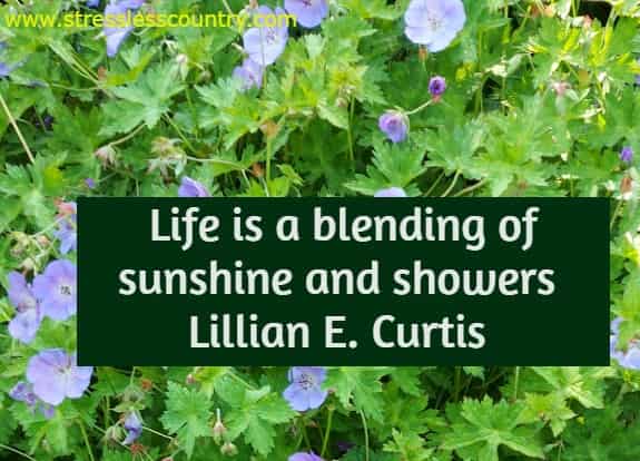 Life is a blending of sunshine and showers