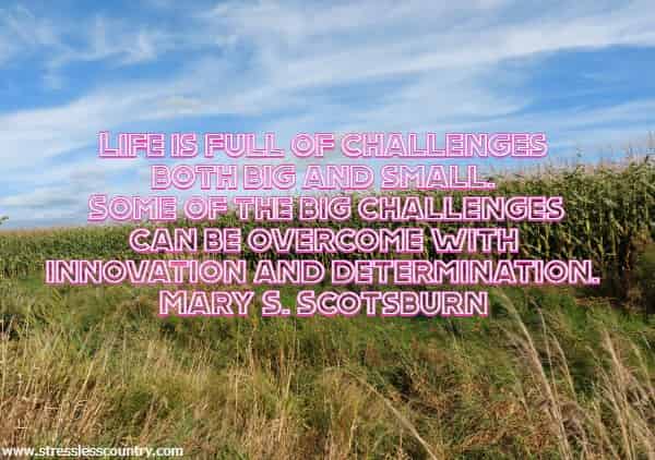 Life is full of challenges both big and small. Some of the big challenges can be overcome with innovation and determination.