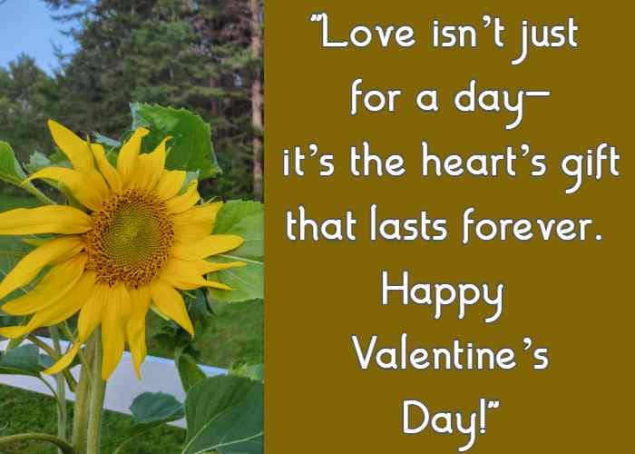 Love isn't just for a day—it's the heart's gift that lasts forever. Happy Valentine's Day!