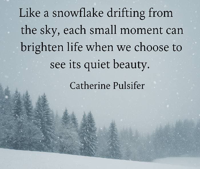 Like a snowflake drifting from the sky, each small moment can brighten life when we choose to see its quiet beauty.