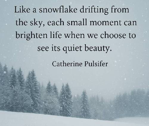 Like a snowflake drifting from the sky, each small moment can brighten life when we choose to see its quiet beauty.