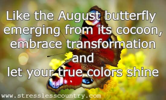 Like the August butterfly emerging from its cocoon, embrace transformation and let your true colors shine.